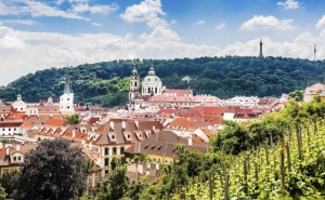 Прогулки по виноградникам Праги 2019