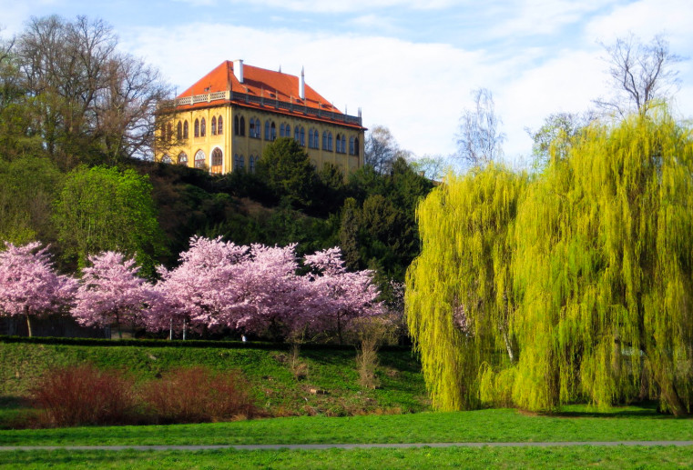 Stromovka - Самые красивые парки Праги