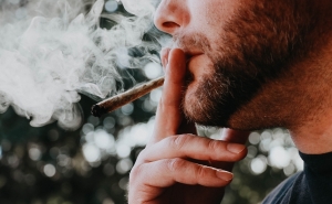 Немецкое правительство собирается легализовать марихуану в Германии