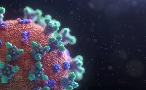 В Чехии обнаружен новый штамм коронавируса XE, который еще более заразный, чем омикрон