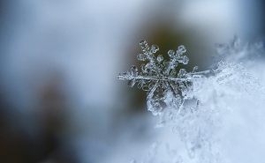 В Чехию возвращается зима, ожидается минусовая температура и снег
