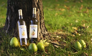 Rybízák – новый напиток для тех, кто любит десертные вина