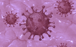 В Чехии зафиксирован случай южноафриканского типа коронавируса
