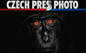 Выставка Czech Press Photo в Чешском центре