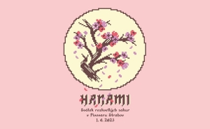 Японский праздник Ханами на Страгове 2023