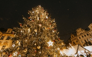 Торжественное зажжение рождественской елки