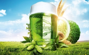 Зеленый четверг: день зеленого пива