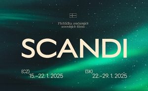 Кинофестиваль Scandi